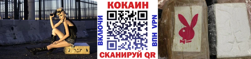Cocaine FishScale  Купить закладки  Арамиль 