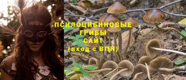 прущие крисы Красноперекопск